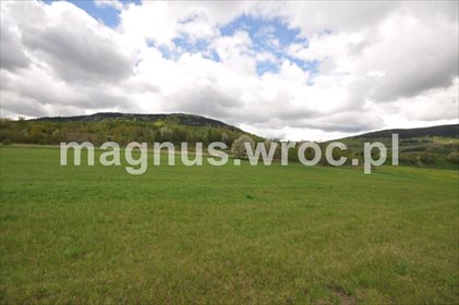 działka na sprzedaż 51300m2 działka Głuszyca Górna