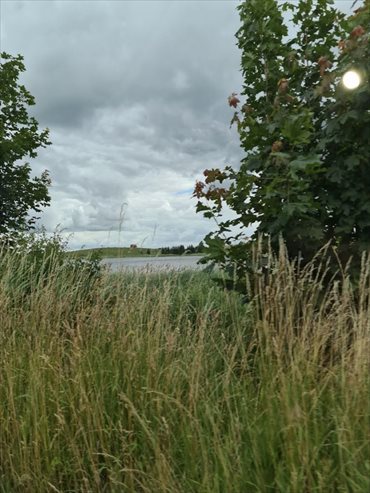 Działka inwestycyjna 9 548 m² w Orzechowie - blisko jeziora działka Orzechowo