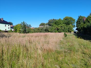 Działka budowlana 1890 m² w Dolicach, spokój i infrastruktura polecam! działka Dolice, Pyrzycka