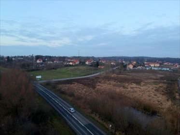 Do sprzedania działka 3000 m² pod usługi w Gajewie działka Gajewo, Dworska
