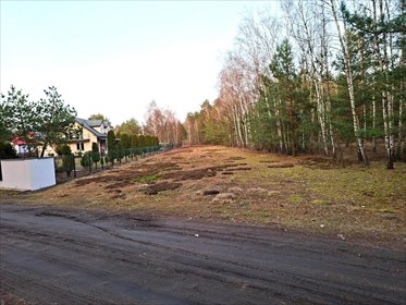 Działka 3 842 m² z lasem (letniskowa) w Ostrówku działka Ostrówek