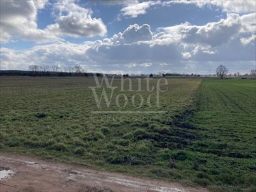 działka na sprzedaż 55400m2 działka Osiedle Poznańskie