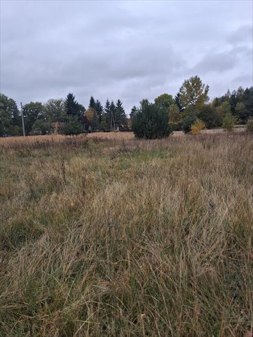 Działka 962 m² w Baranówku - media, blisko jeziora działka Baranówko