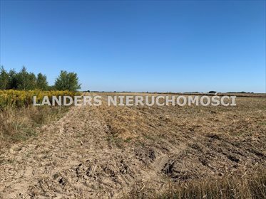 Działka inna na sprzedaż Kazimierz 19 000m2 Foto 1