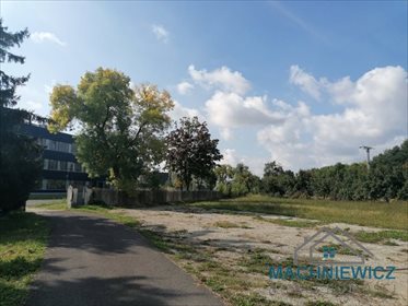 Działka inwestycyjna pod dzierżawę Sosnowiec 3 800m2 Foto 1