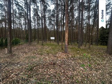 Działka rekreacyjna 359 m² z mediami, las, 15 min Opole działka Turawa