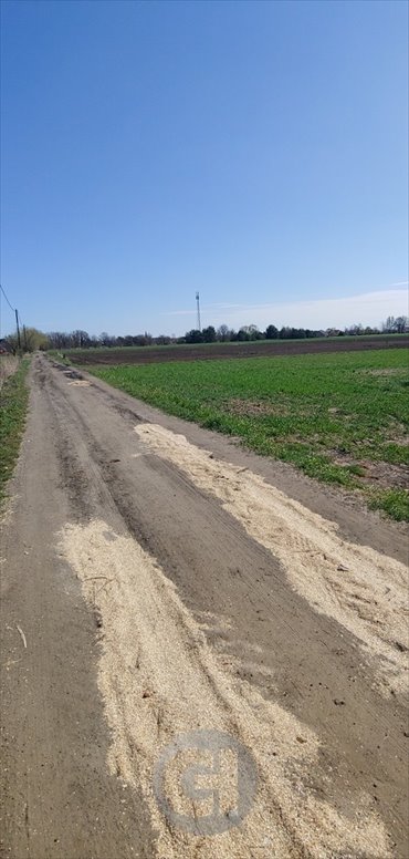 działka na sprzedaż 1500m2 działka Gorzów Wielkopolski, Zakanale