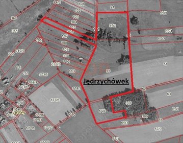 Działka rolna na sprzedaż Jędrzychówek 121 000m2 Foto 4