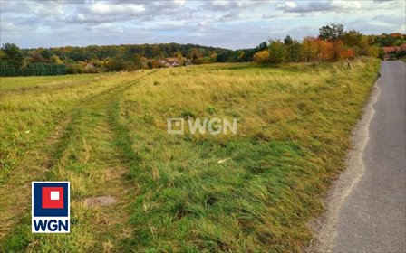 działka na sprzedaż 1000m2 działka Wielka Lipa, Wielka Lipa, Wielka lipa