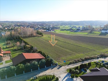 działka na sprzedaż 3976m2 działka Wierzbna