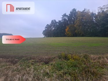 Na sprzedaż działka 40 532 m² pod inwestycję z MPZP, media, blisko S5 działka Sulnówko