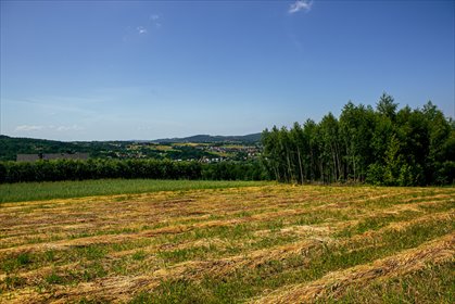 działka na sprzedaż 4300m2 działka Gromnik