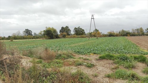 działka na sprzedaż 2762m2 działka Świebodzice, Ciernie