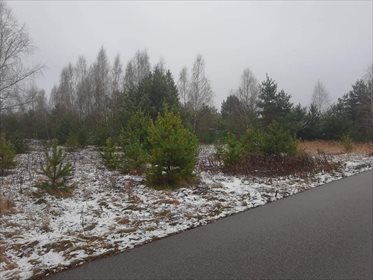 Działka rolna na sprzedaż Stare Polesie 3 000m2 Foto 4