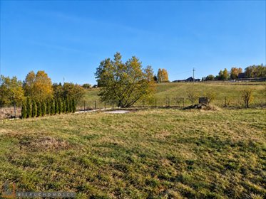 działka na sprzedaż 1330m2 działka Łuczyce