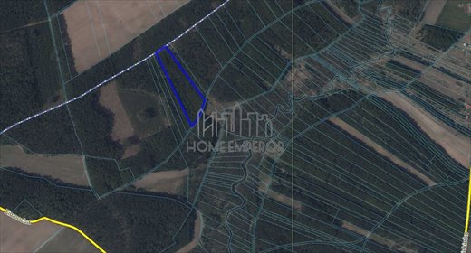 Działki leśne w Mławie (55 000 m², blisko lasu) działka Mława, Piekiełko