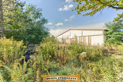Lokal użytkowy na wynajem Tłuszcz 1 125m2 Foto 6