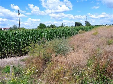 Polecam działkę 22 273 m² pod aktywizację gospodarczą w Poznaniu działka Poznań, Nowe Miasto, Szczepankowo, Sokalska/Ostrowska
