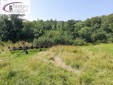Działka inna na sprzedaż Mechowo, Las, Przystanek autobusowy, Tereny rekreacyjne 5 700m2 Foto 1