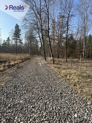 działka na sprzedaż 1190m2 działka Strzeniówka, Pruszkowska