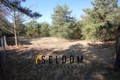 Polecam działkę rekreacyjną 457 m² blisko Jeziora Ślesińskiego działka Stanisławowo