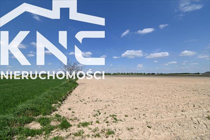 działka na sprzedaż 4200m2 działka Stoczek