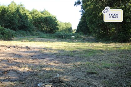 Działka leśna na sprzedaż Daniszewo 7 000m2 Foto 1