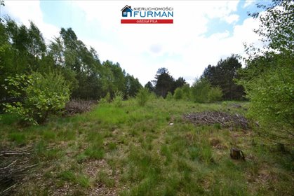 działka na sprzedaż 1154m2 działka Skórka