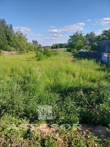 Inwestycyjna działka 2,38ha z warunkami zabudowy działka Chełmce