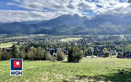 działka na sprzedaż 4289m2 działka Kościelisko, Kościelisko, Kościelisko