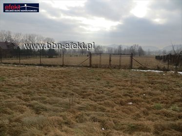 Działka budowlana na sprzedaż Bujaków 3 633m2 Foto 2