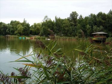 Działka rekreacyjna na sprzedaż Nowe Kusy 120 000m2 Foto 7