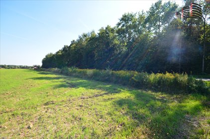Działka 1042 m² z warunkami zabudowy w Motyczu działka Motycz