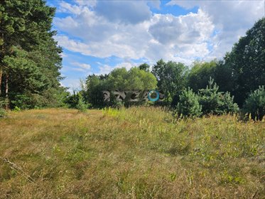 działka na sprzedaż 6500m2 działka Lewików, Lewików