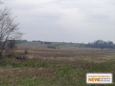 Działka 29 724 m² z mediami i zabudowaniami - Przeczyce działka Przeczyce, Przeczyce