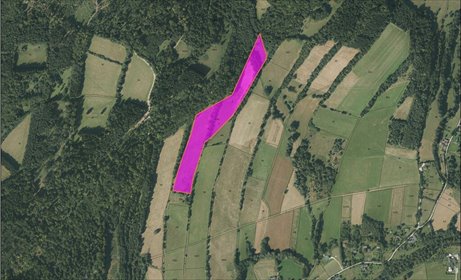 działka na sprzedaż 41000m2 działka Radochów