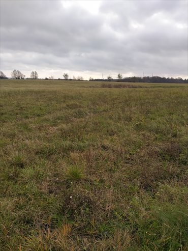 działka na sprzedaż 3074m2 działka Szczecin, Skolwin