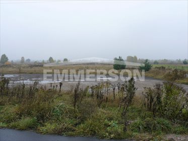 działka na sprzedaż 9900m2 działka Pieńków, Pieńków