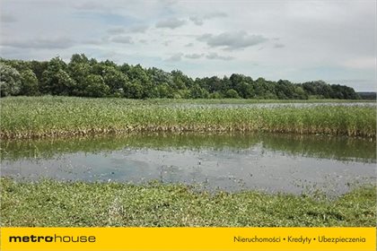 Działka rolna na sprzedaż Pierwągi, Jeziorany 5 991m2 Foto 2