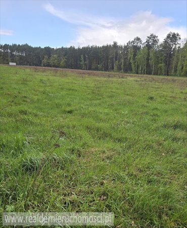 działka na sprzedaż 3900m2 działka Świdnica