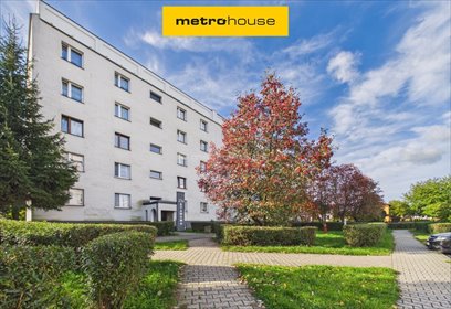 Do sprzedania przestronne 2-pokojowe mieszkanie 56 m² z loggią w Siemianowicach mieszkanie Siemianowice Śląskie, Stawowa