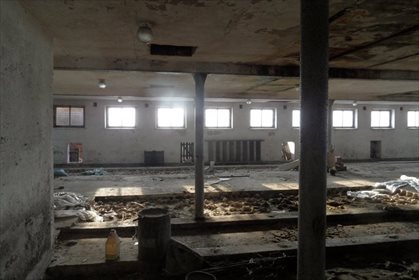 Działka budowlana na sprzedaż Olsza 12 000m2 Foto 6