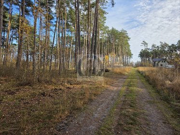 Działka 1646 m2 900 m od morza, las i spokój. działka Dziwnów