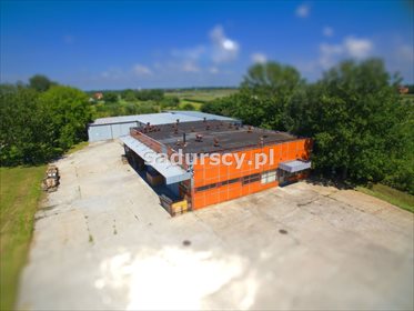 Magazyn na sprzedaż Przemyśl, Sielec, Sielecka 1 200m2 Foto 1