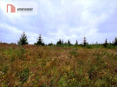 działka na sprzedaż 1492m2 działka Kolincz