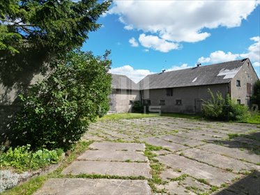 Magazyn na sprzedaż Skarszewy, Kamierowska 565m2 Foto 7
