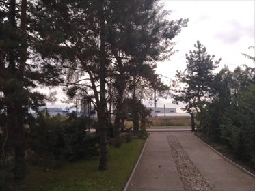 Lokal użytkowy na sprzedaż Nowy Dwór Mazowiecki, Okunin 781m2 Foto 2