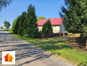 Urokliwe siedlisko z budynkami i dużą działką na agroturystykę dom Bulkowo