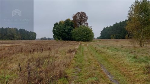 Działka rolna na sprzedaż Podlindowo 120 718m2 Foto 2