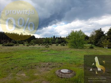 Działka budowlana na sprzedaż Tomisław 5 582m2 Foto 3